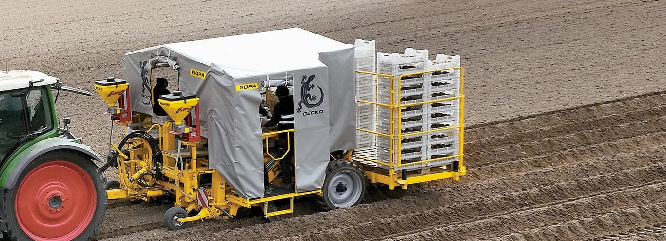 Potato planter ROPA Gecko — ROPA