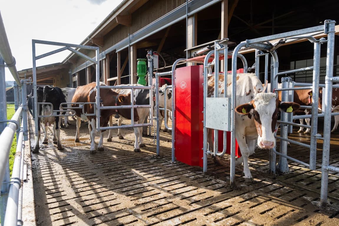 Barn fittings Lely Grazeway — Lely
