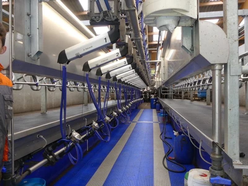 Parlor equipment DeLaval P300 MidiLine — DeLaval