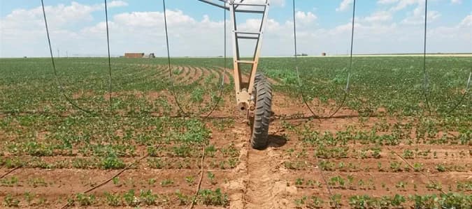 Drip irrigation system T-L Irrigation PMDI™ — T-L Irrigation
