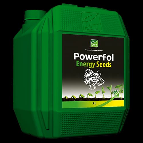 Powerfol Energy Seeds — Terra Tarsa