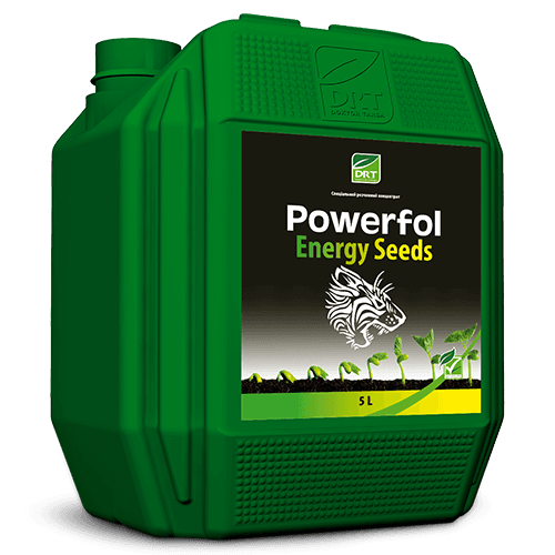 Powerfol Energy Seeds — Terra Tarsa