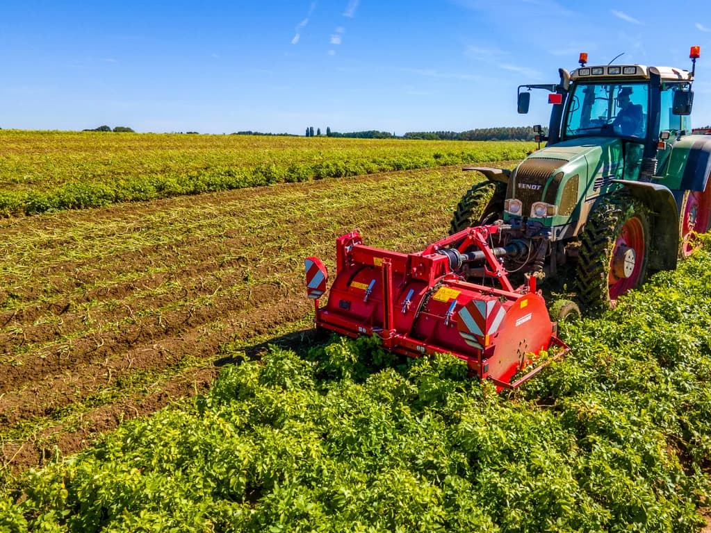 Haulm topper GRIMME TOPPA 200 — GRIMME