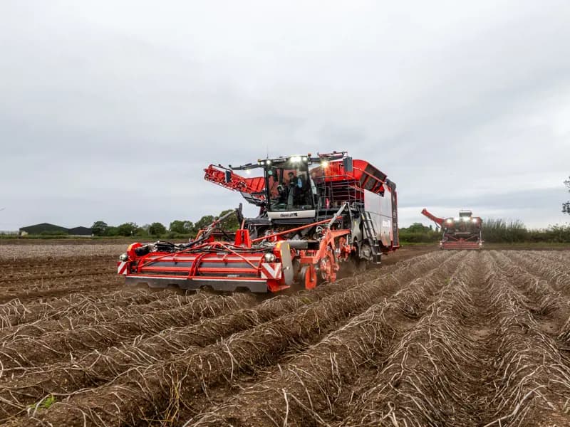 Potato harvester Dewulf Kwatro Xtreme — Dewulf
