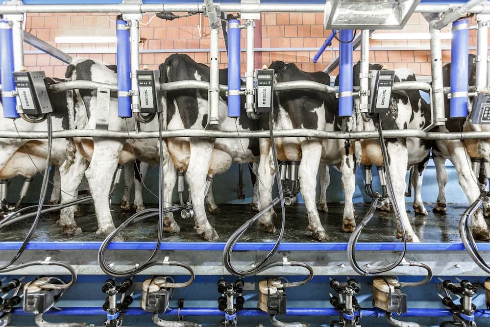 Parlor equipment DeLaval HB50 — DeLaval