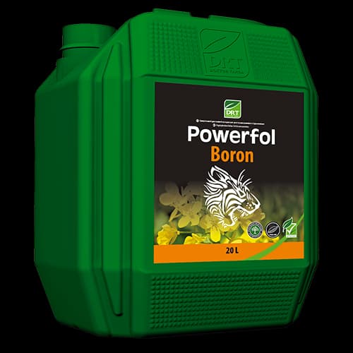 Powerfol Boron — Terra Tarsa