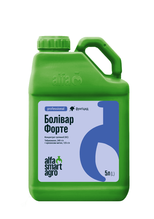 Bolivar Forte — Alfa Smart Agro