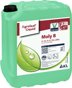 Agroleaf Liquid Moly B — ICL