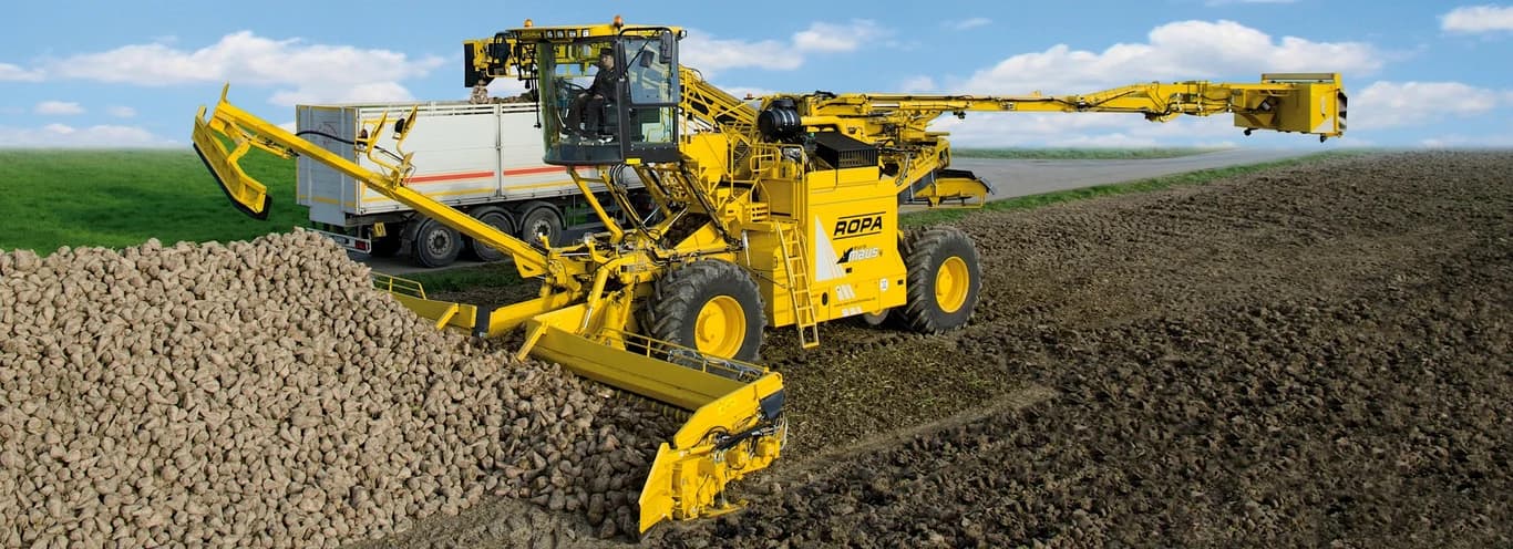 Beet cleaner loader ROPA euro-Maus 4 — ROPA