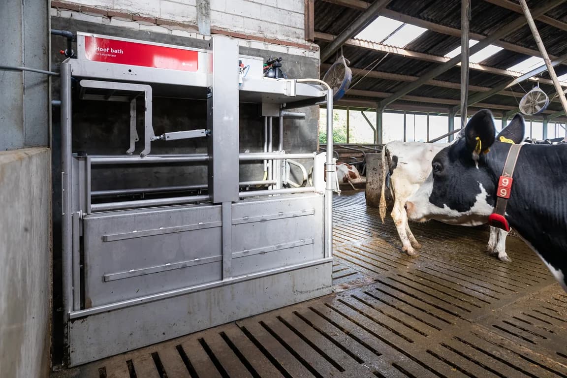 Lely Hoof bath for Lely Meteor — Lely
