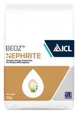 Nephrite — ICL