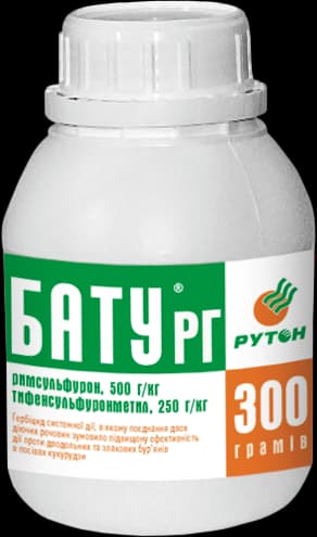 Batu — Nertus