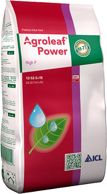 Agroleaf Power High P — ICL