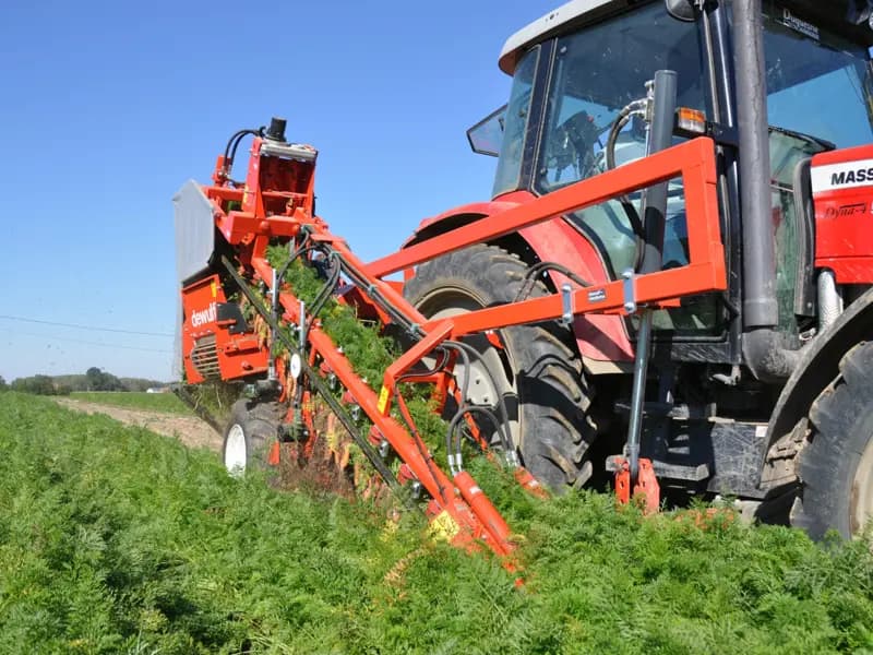 Beet harvester Dewulf P3CL Profi — Dewulf