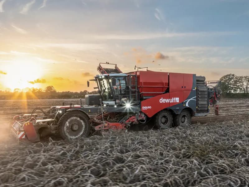 Potato harvester Dewulf Enduro — Dewulf