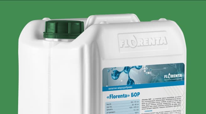 Florenta Boron — Florenta