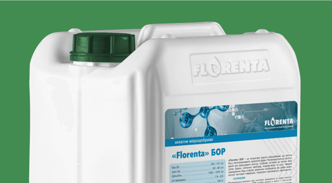 Florenta Boron — Florenta
