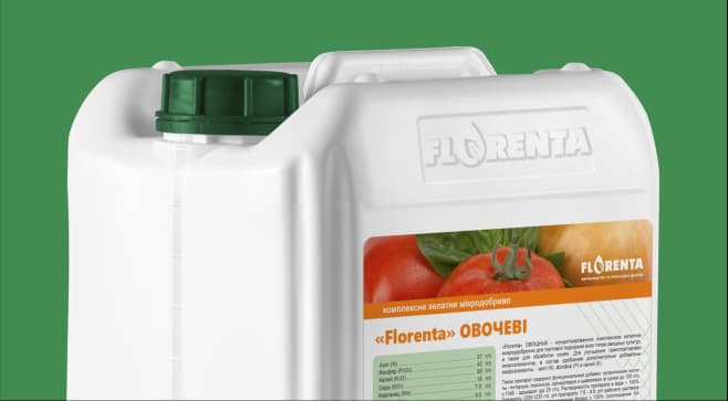 Florenta Vegetables — Florenta