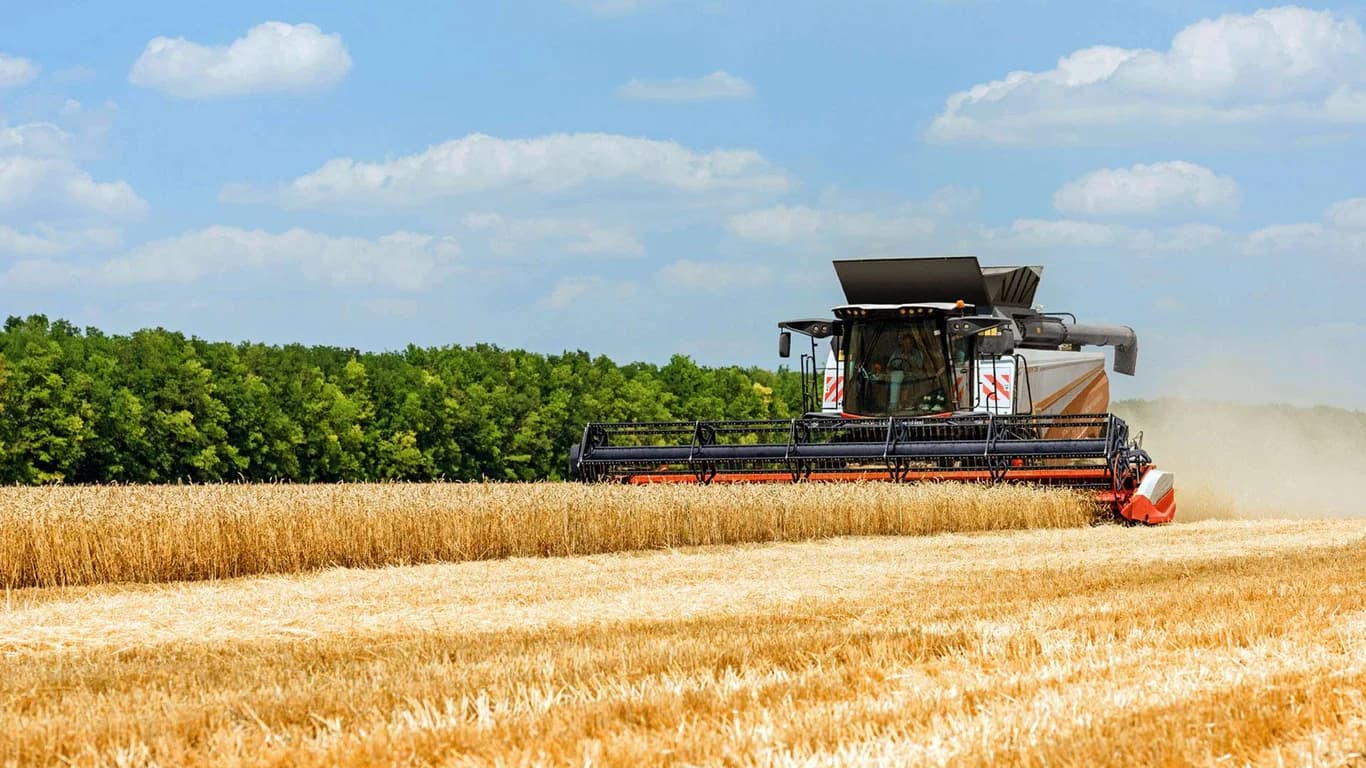 Combine harvester Rostselmash TORUM 785 — Rostselmash