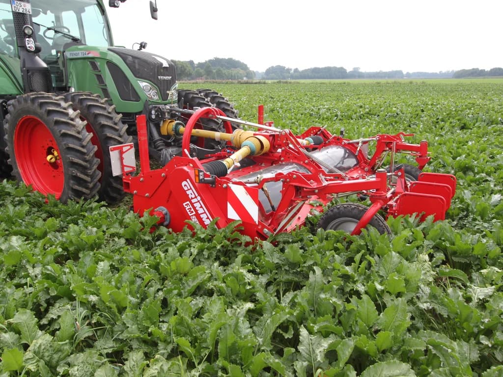 Beet topper GRIMME FM 300 — GRIMME