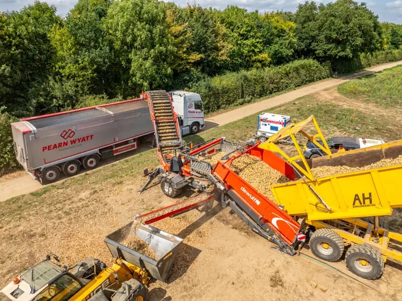 Potato conveyor Dewulf Field Loader 240 — Dewulf