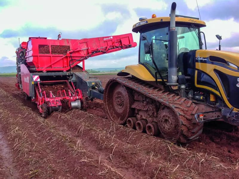 Potato harvester Dewulf RA2060 — Dewulf