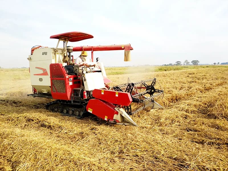 Combine harvester Lovol AF88 — Lovol