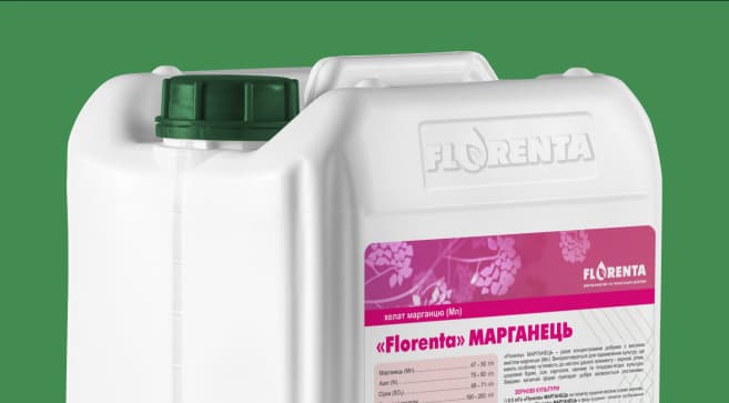 Florenta Manganum — Florenta