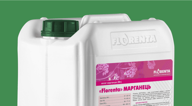 Florenta Manganum — Florenta