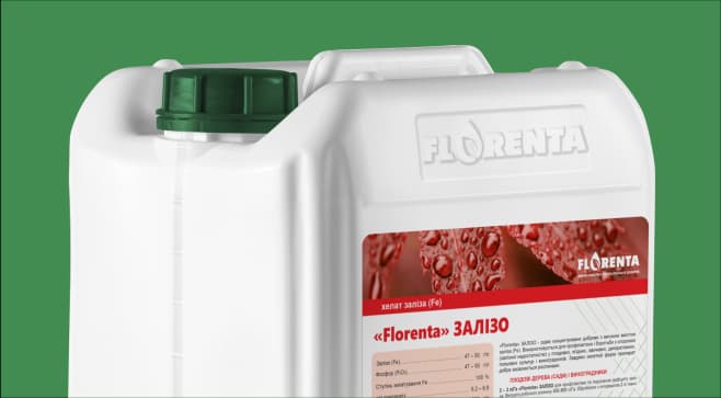 Florenta Ferrum — Florenta