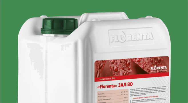Florenta Ferrum — Florenta