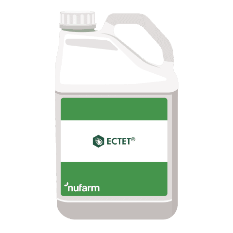 Estet — Nufarm
