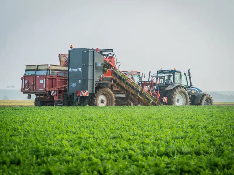 Beet harvester Dewulf GKIISL — Dewulf