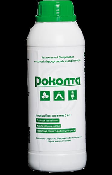 Rokolta — Сатех