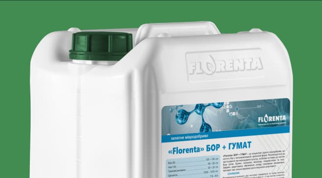 Bor+Humat — Florenta