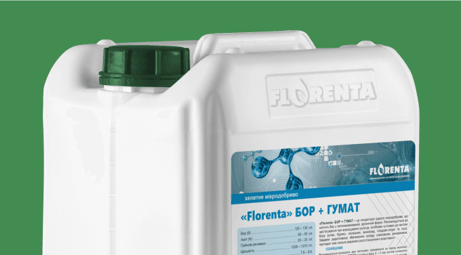 Bor+Humat — Florenta