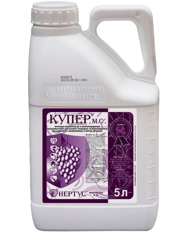 Kuper — Nertus