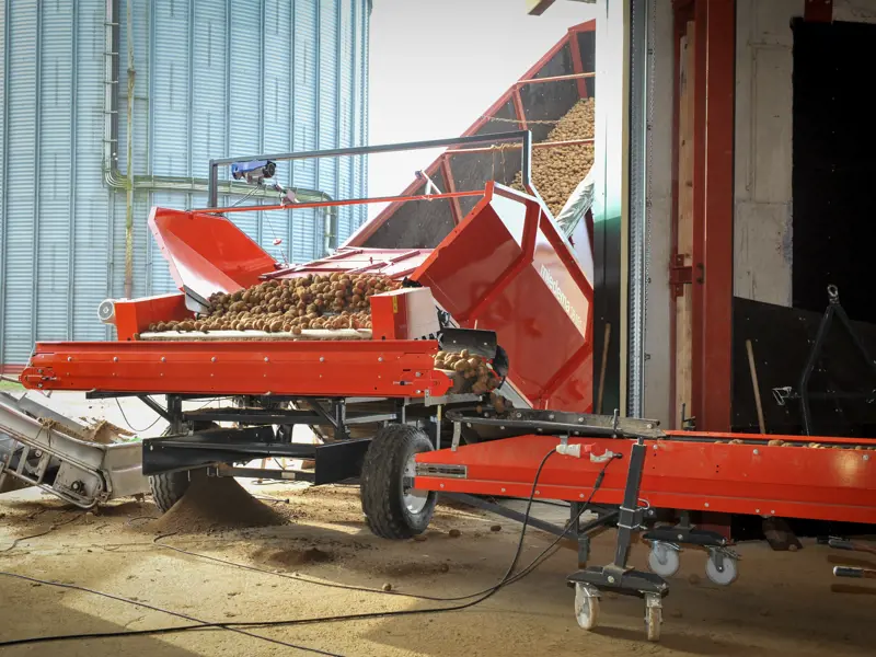 Potato conveyor Dewulf SB 651 — Dewulf
