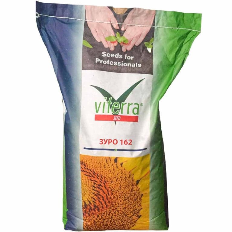 Гібрид соняшника ЗУРО 162 — Viterra seed