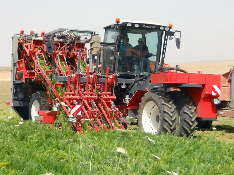Beet harvester Dewulf ZKIIISE — Dewulf