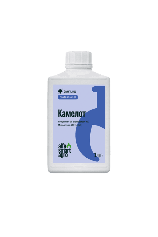 Kamelot — Alfa Smart Agro