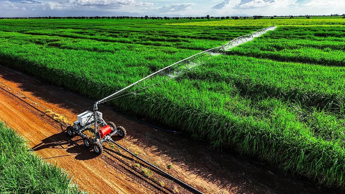 Linear move irrigator Zimmatic 9500L — Zimmatic