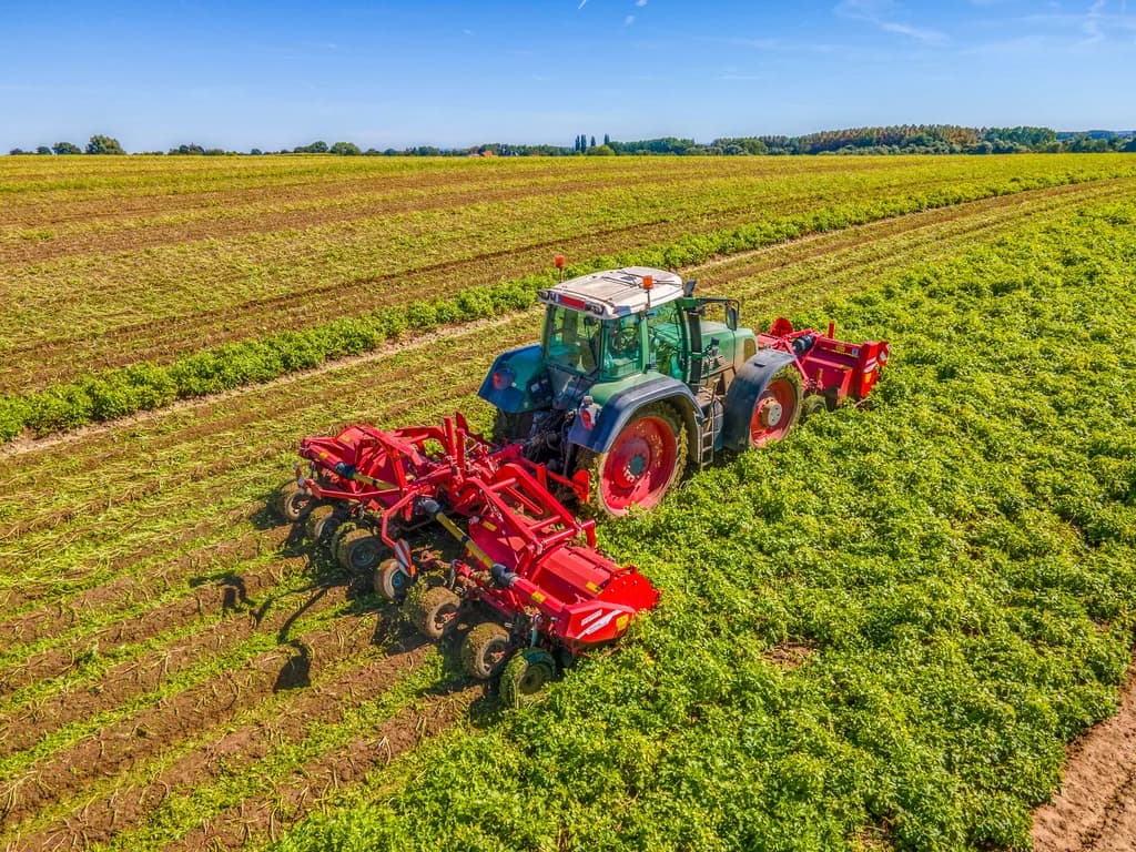 Haulm topper GRIMME TOPPA 600 Combi — GRIMME