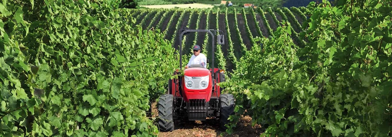 Orchard tractor McCormick F 100 F-GE — McCormick