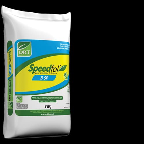 Speedfol Bor — Terra Tarsa