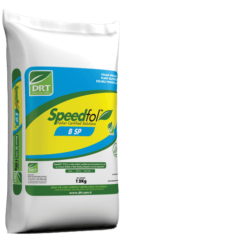 Speedfol Bor — Terra Tarsa