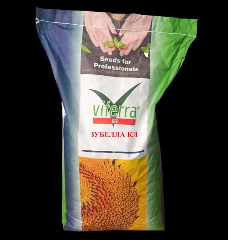 Гібрид соняшника ЗУБЕЛЛА КЛ — Viterra seed