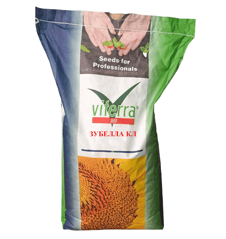 Гібрид соняшника ЗУБЕЛЛА КЛ — Viterra seed