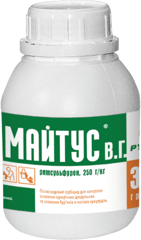 Maytus — Nertus