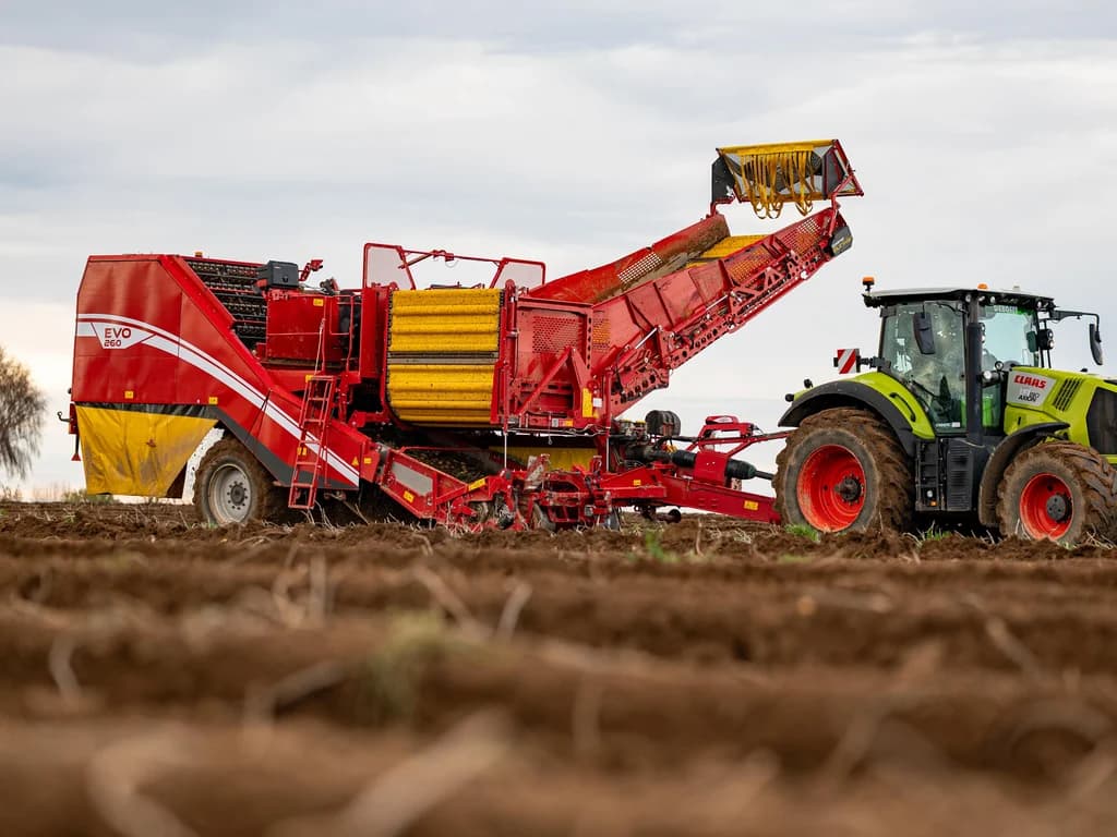 Potato harvester GRIMME EVO 260 — GRIMME